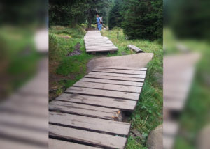 ADROME Caritativer Suchthilfeverein e.V. - WOHNHEIM Sonnenweg - Freizeit - Spaziergang, Holzbrücke