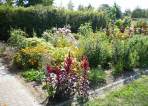 ADROME Caritativer Suchthilfeverein e.V. - WOHNHEIM Sonnenweg - Gartenbereich - Garten, Blumenbeet, Blumen, Blüten