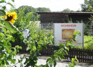 ADROME Caritativer Suchthilfeverein e.V. - WOHNHEIM Sonnenweg - Wohnheim - Gartenbereich, Sonnenblumen